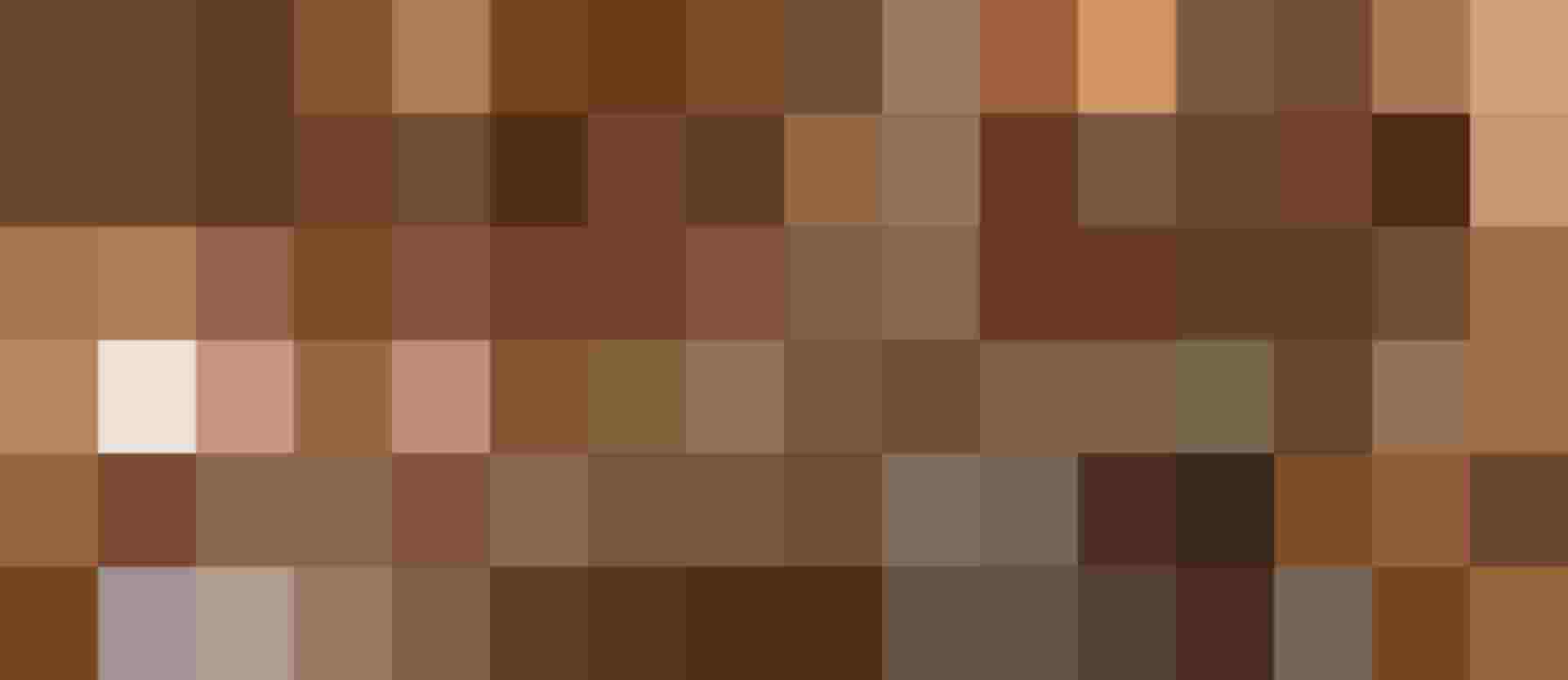 Ski hut & restaurant